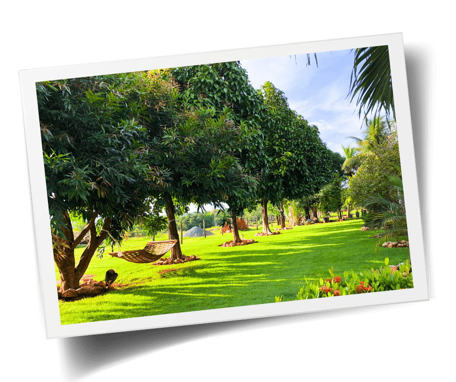 Desfrute da natureza em sua plentitude