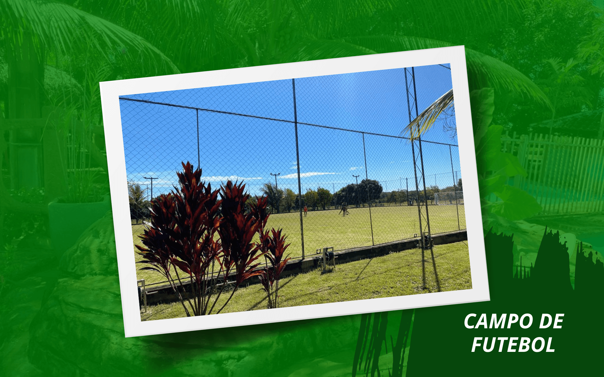 Campo de Futebol